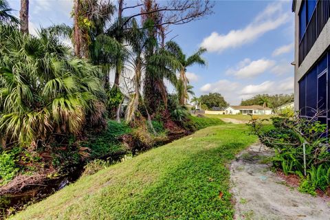 A home in PALM HARBOR