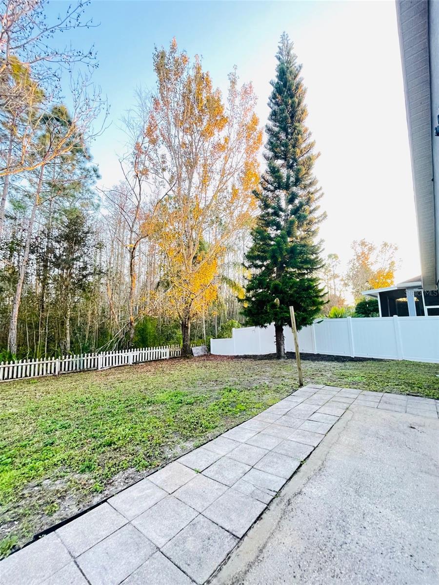 VILLAGES AT SUMMER LAKES CYPRESS - Residential Lease