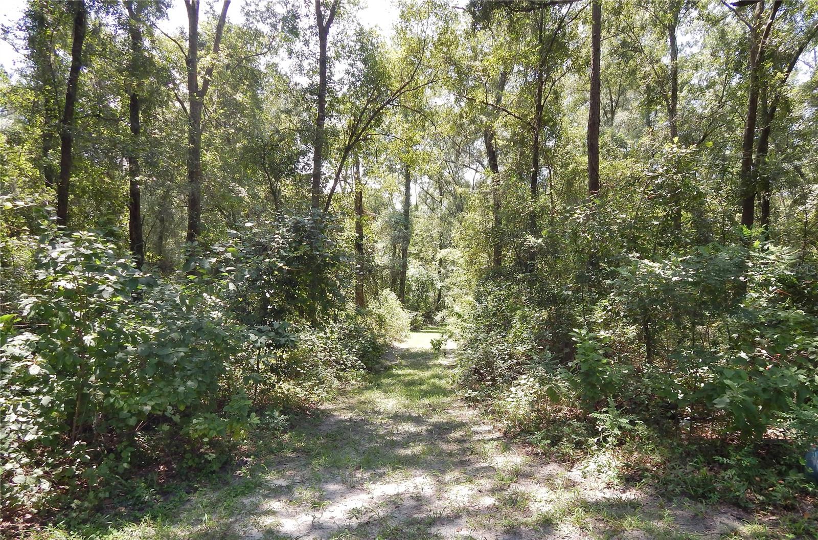 NOT IN A SUBDIVISION - Residential