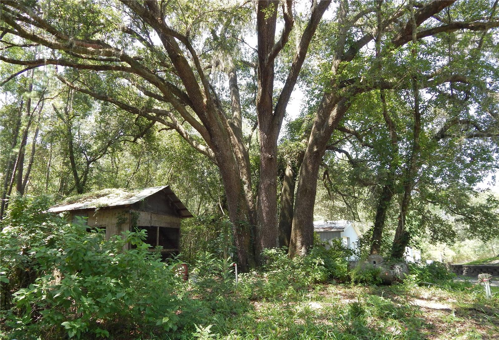 NOT IN A SUBDIVISION - Residential