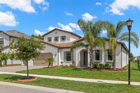 6154 MARSH TRAIL DRIVE ODESSA FL 33556
