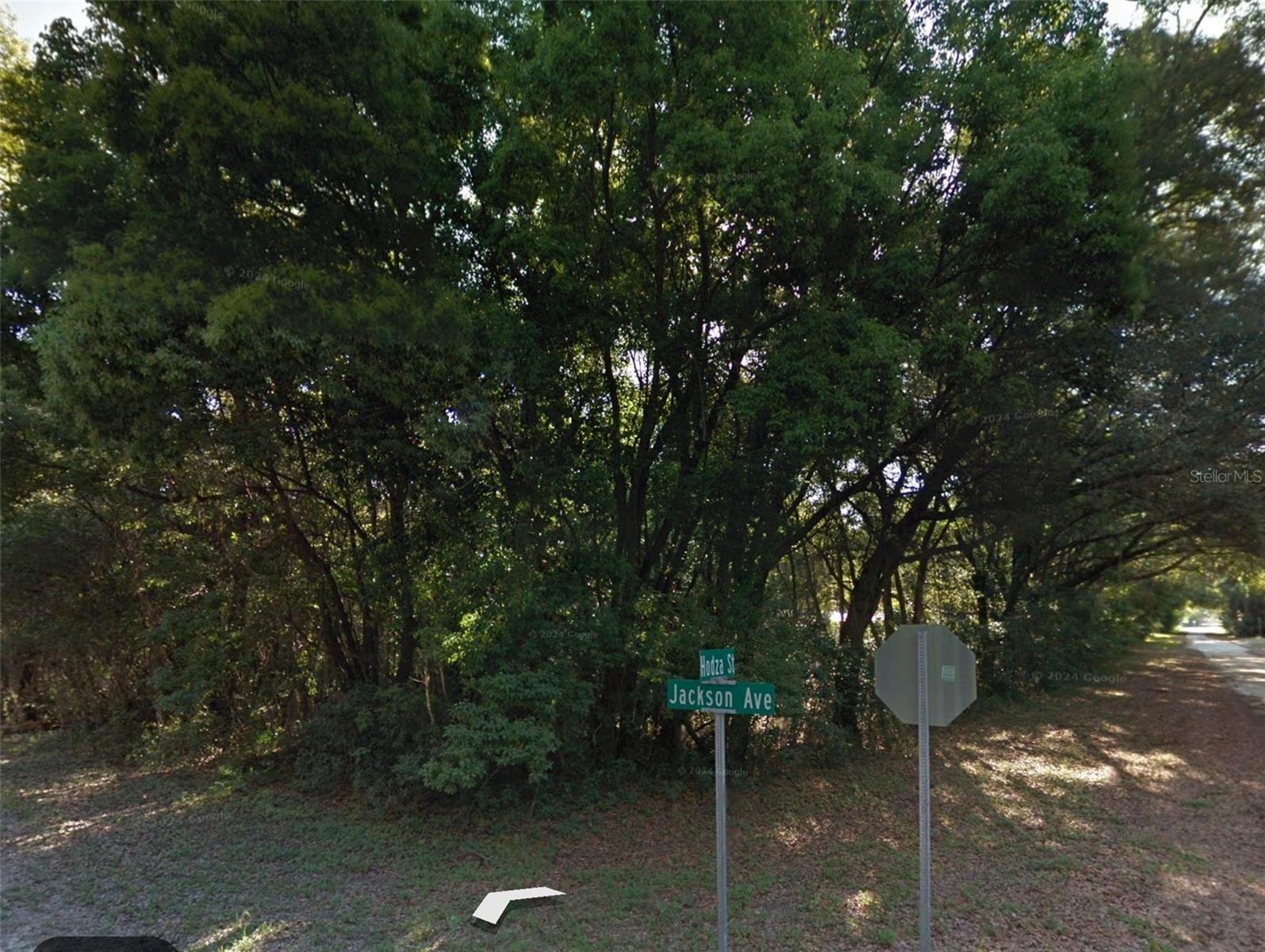 0 JACKSON AVENUE