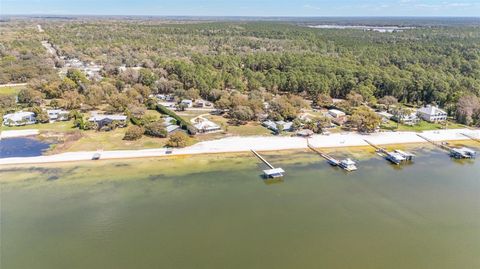 Tiny photo for 12830 SE 144th Avenue, Ocklawaha, FL 32179 (MLS # OM720477)
