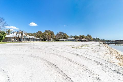 Tiny photo for 12830 SE 144th Avenue, Ocklawaha, FL 32179 (MLS # OM720477)