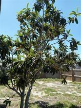 BEACON SQUARE - Residential