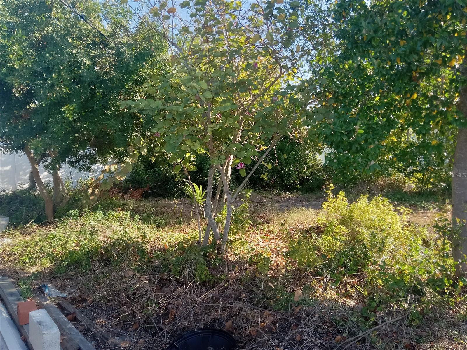 BEACON SQUARE - Residential