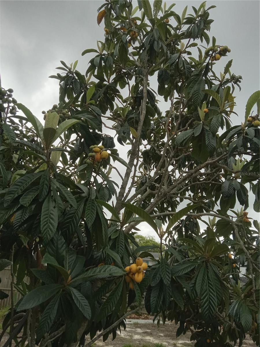 BEACON SQUARE - Residential