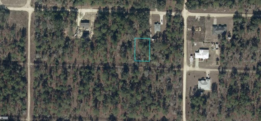 Photo of 930201700 NE 16th Lane, Williston, FL 32696 (MLS # A4690725)
