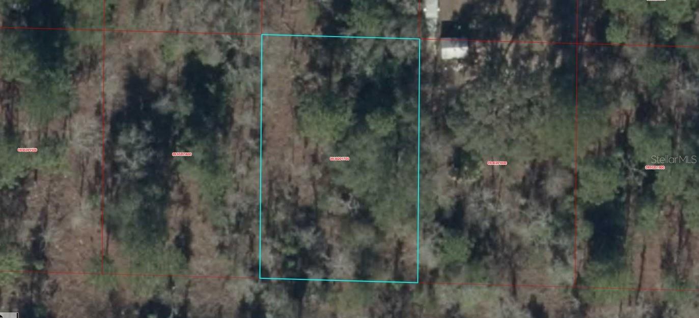 WILLISTON HYLNDS GOLF & C CLUB ESTATE - Land
