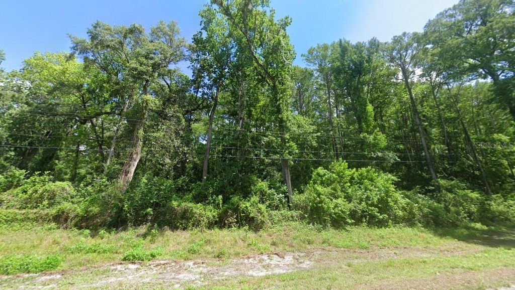 Photo of 12131 SW 35th Dr, Webster, FL 33597 (MLS # A4682741)