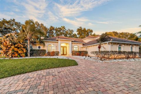 Tiny photo for 16623 Royal Palm Drive, Groveland, FL 34736 (MLS # O6380686)