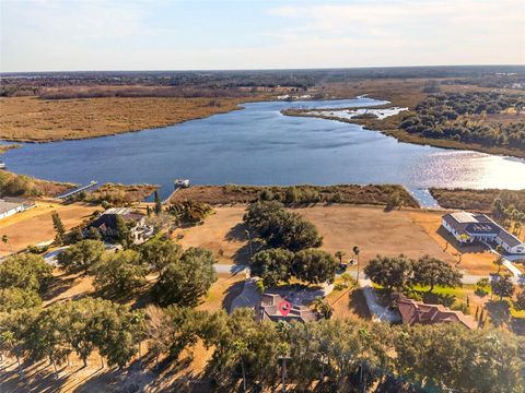 Tiny photo for 16623 Royal Palm Drive, Groveland, FL 34736 (MLS # O6380686)