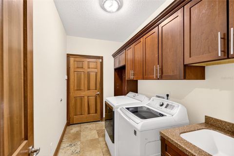 Tiny photo for 16623 Royal Palm Drive, Groveland, FL 34736 (MLS # O6380686)