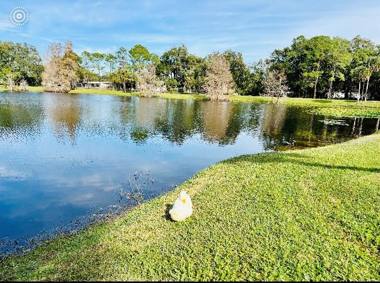 MONTEREY SUB - Residential