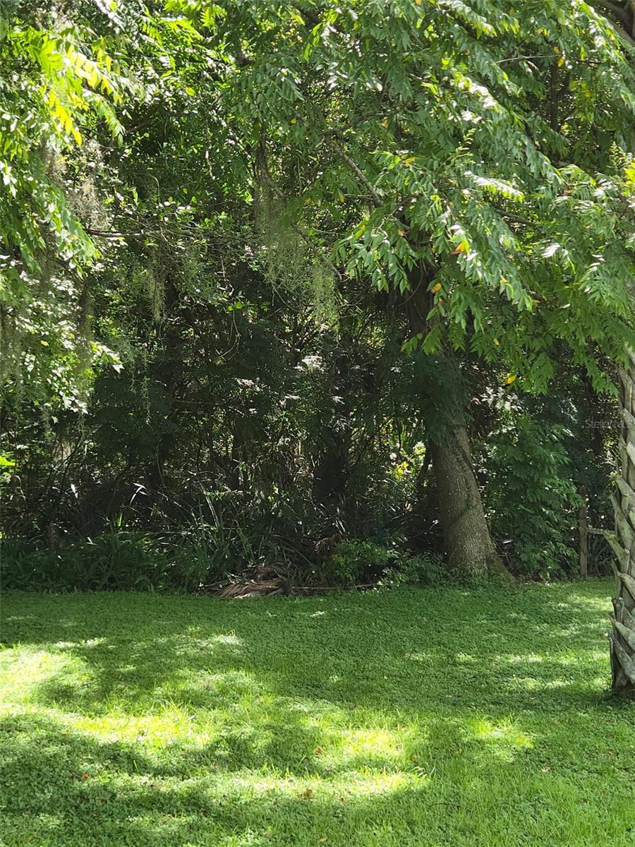 DUTTON AVENUE