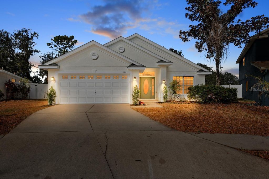 Photo of 11112 Goldenrod Fern Drive, Riverview, FL 33569 (MLS # TB8453512)