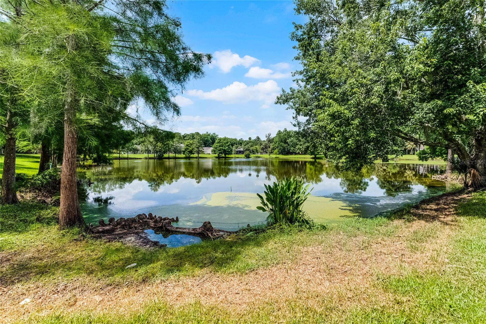 821 SHALLOW BROOK AVENUE