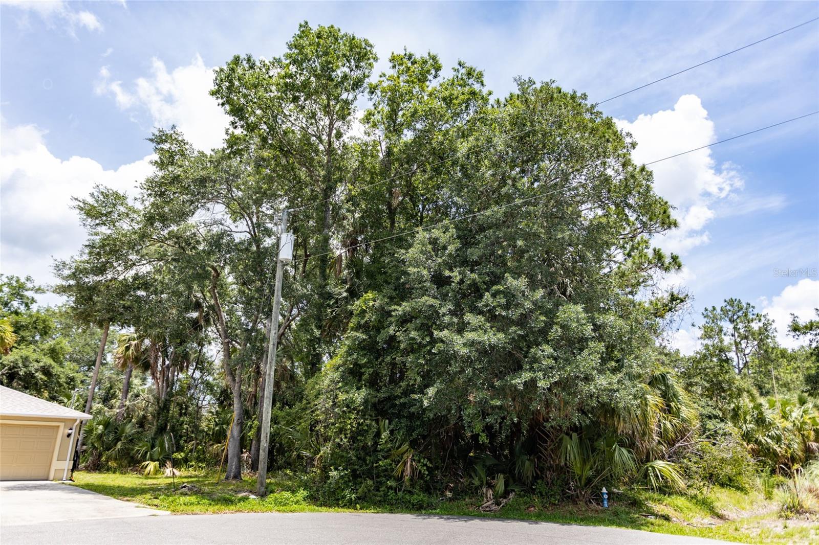 16 WHITE HAWK PLACE