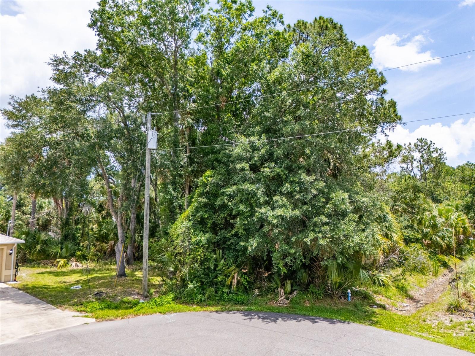 16 WHITE HAWK PLACE