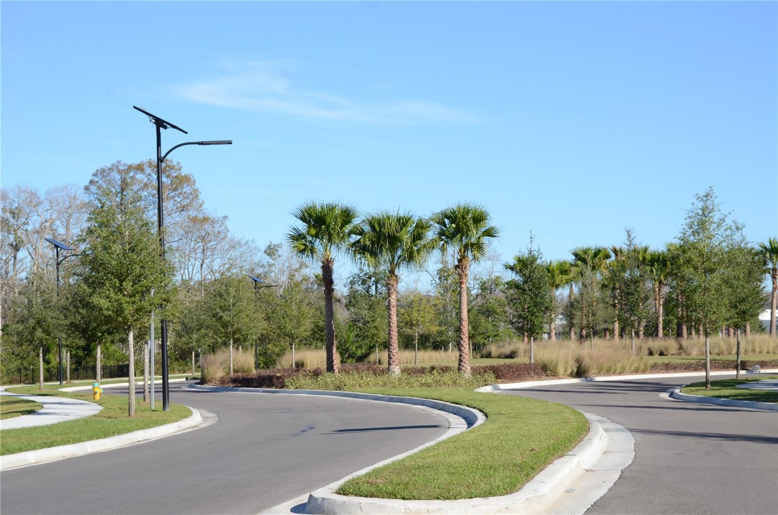 ANGELINE - Residential Lease