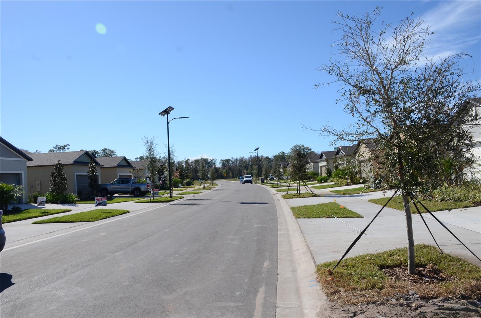 ANGELINE - Residential Lease