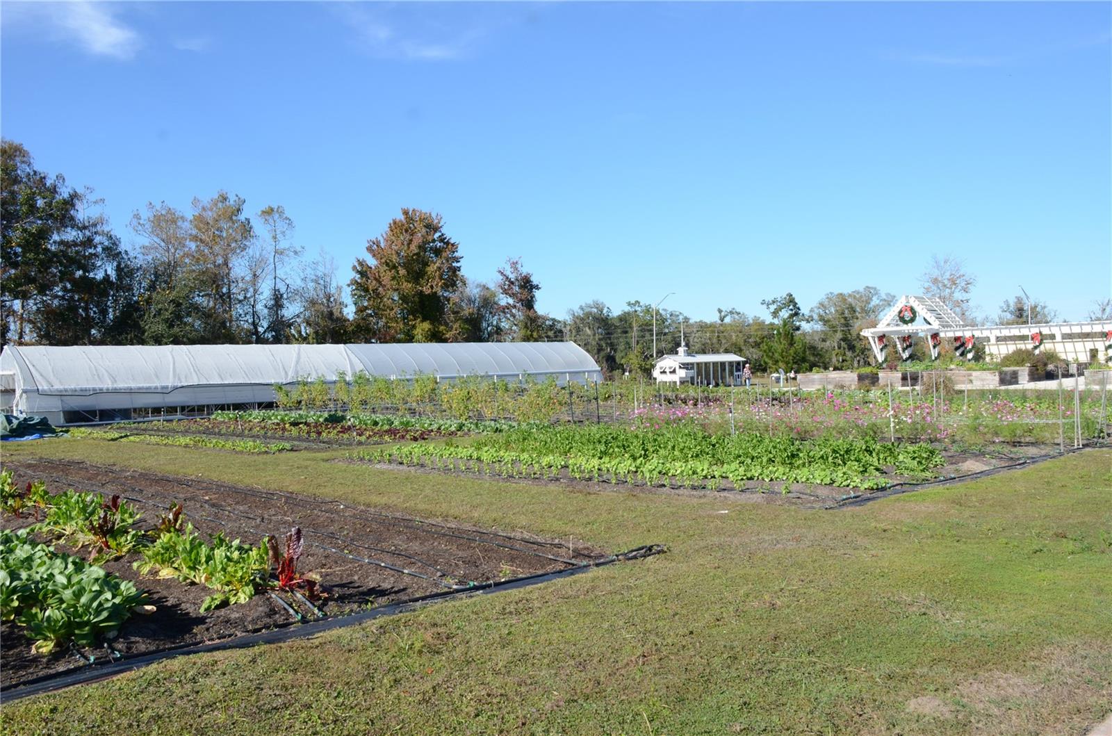 ANGELINE - Residential Lease