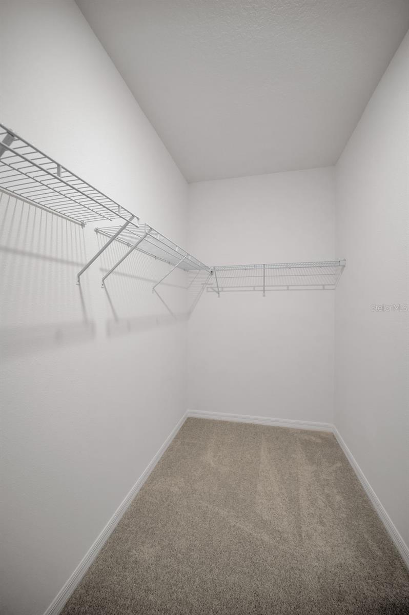 ANGELINE - Residential Lease