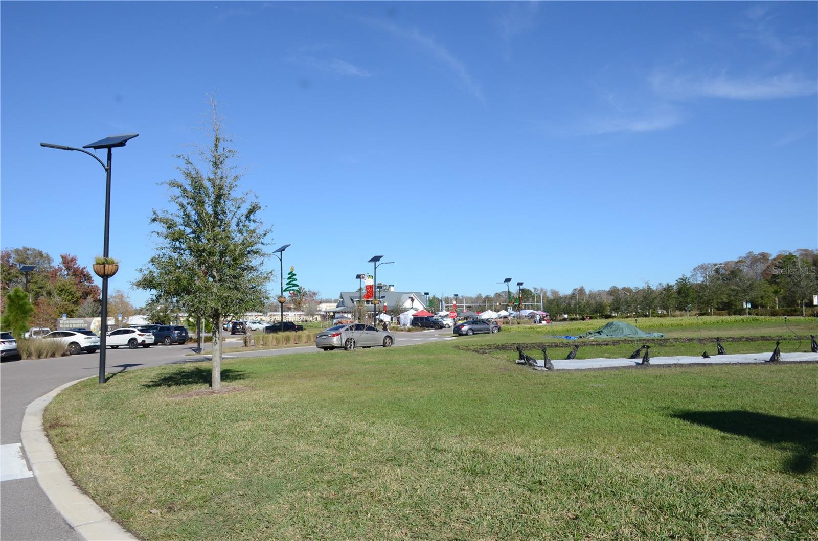 ANGELINE - Residential Lease