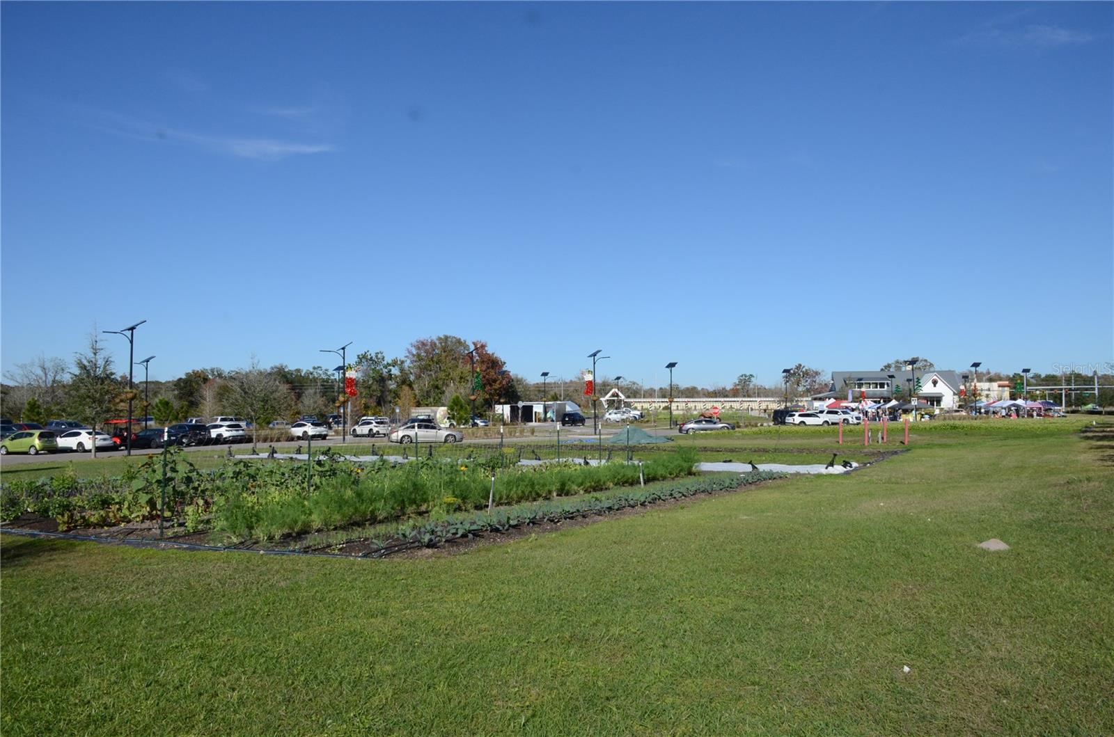 ANGELINE - Residential Lease