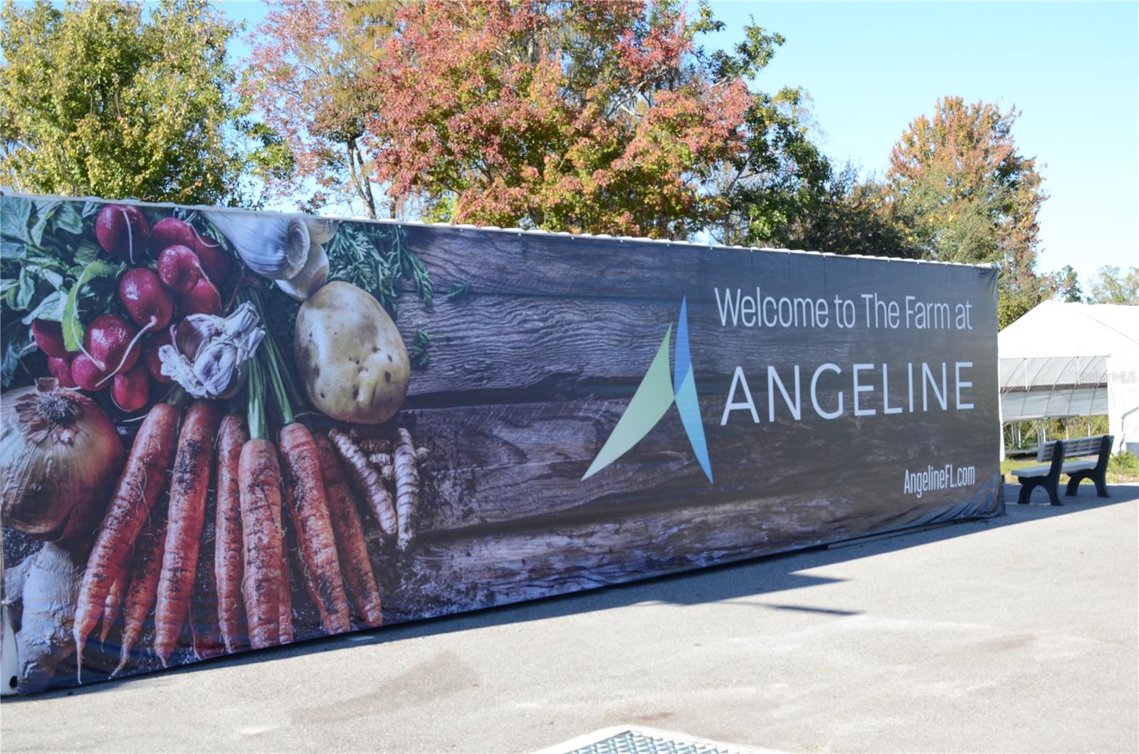 ANGELINE - Residential Lease