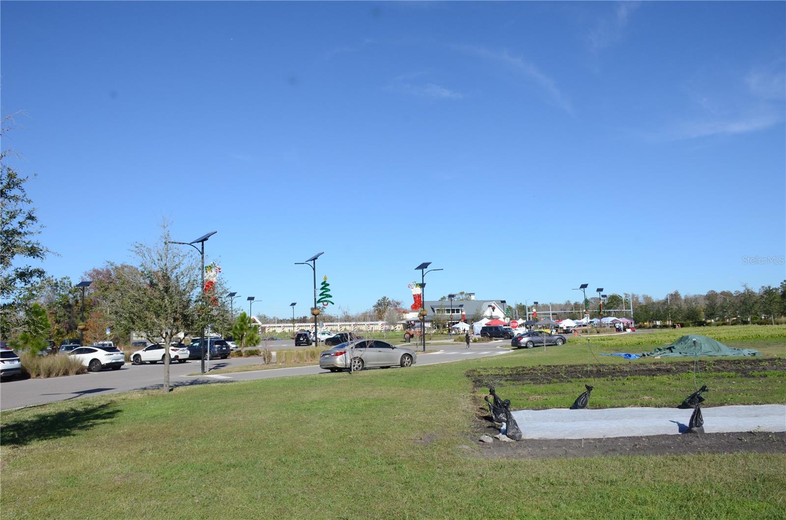 ANGELINE - Residential Lease