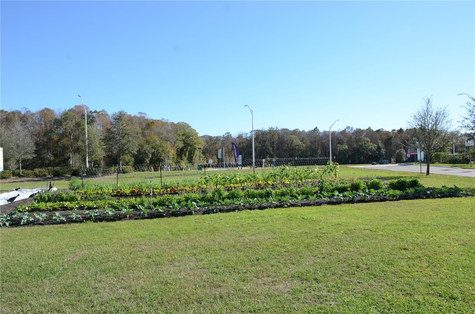 ANGELINE - Residential Lease