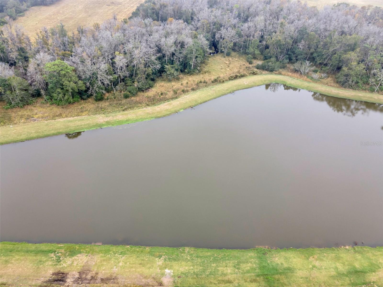 ANGELINE - Residential Lease