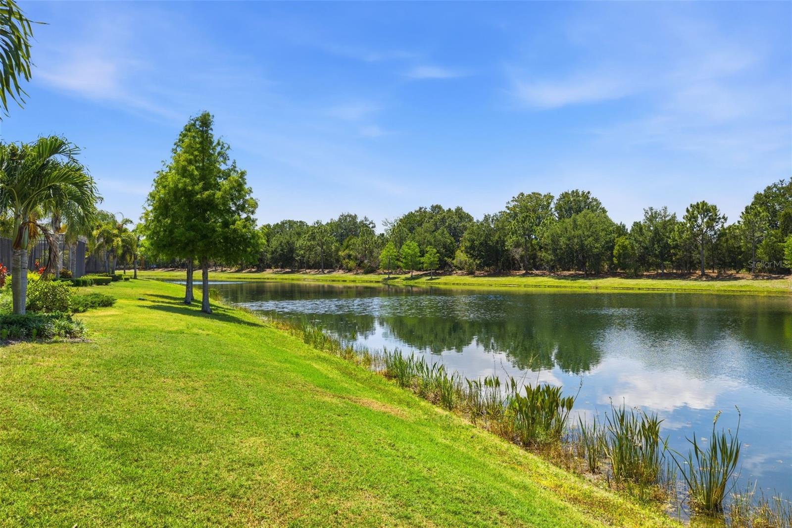 COUNTRY CLUB EAST AT LAKEWD RNCH VV1 - Residential