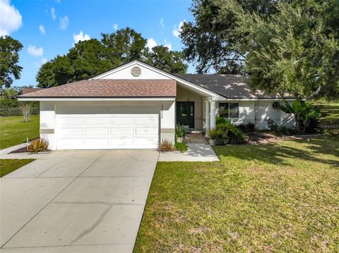 36528 EAGLE DRIVE GRAND ISLAND FL 32735