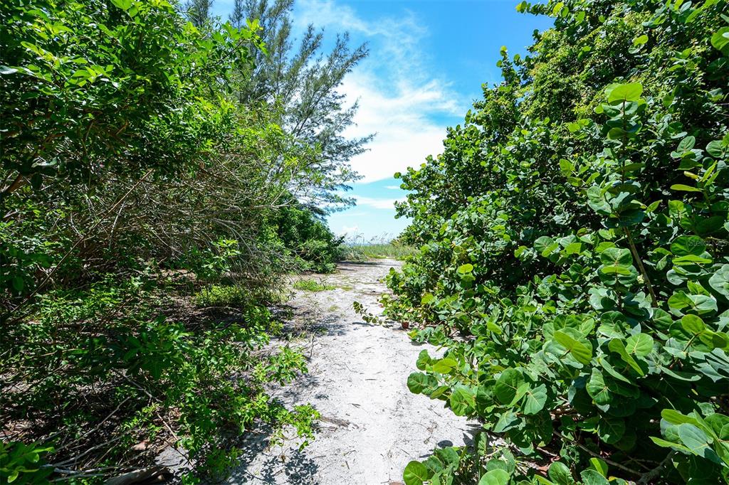 SLEEPY LAGOON - Land