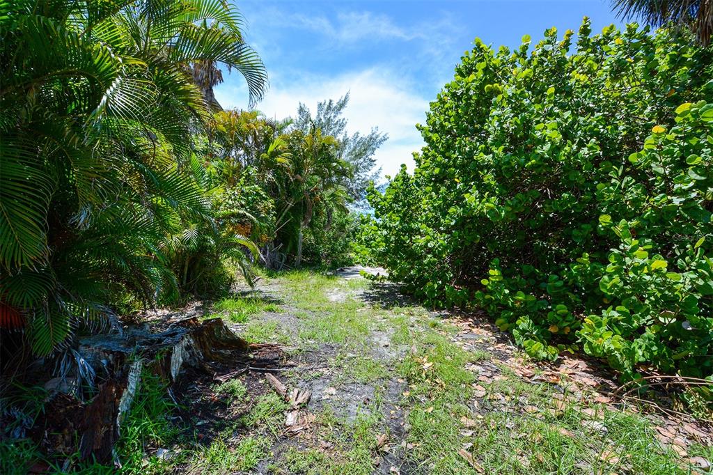 SLEEPY LAGOON - Land