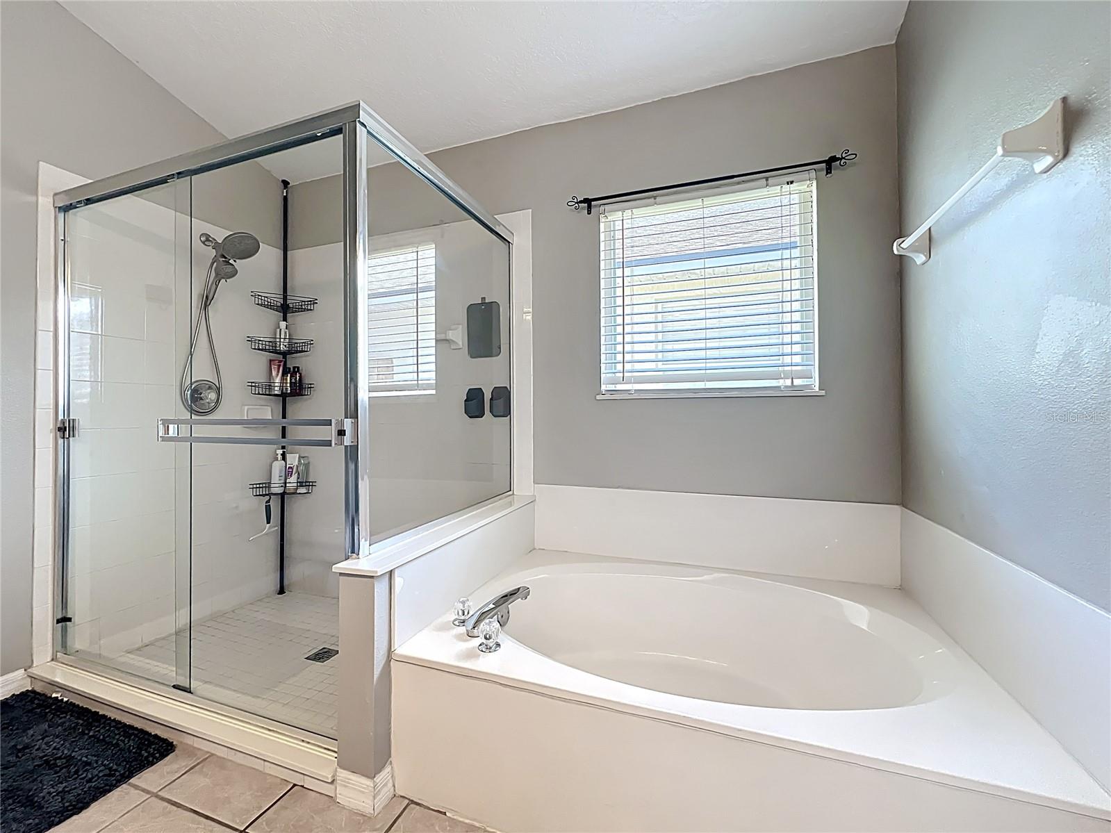 CEDAR GLEN OF ALOMA WOODS - Residential