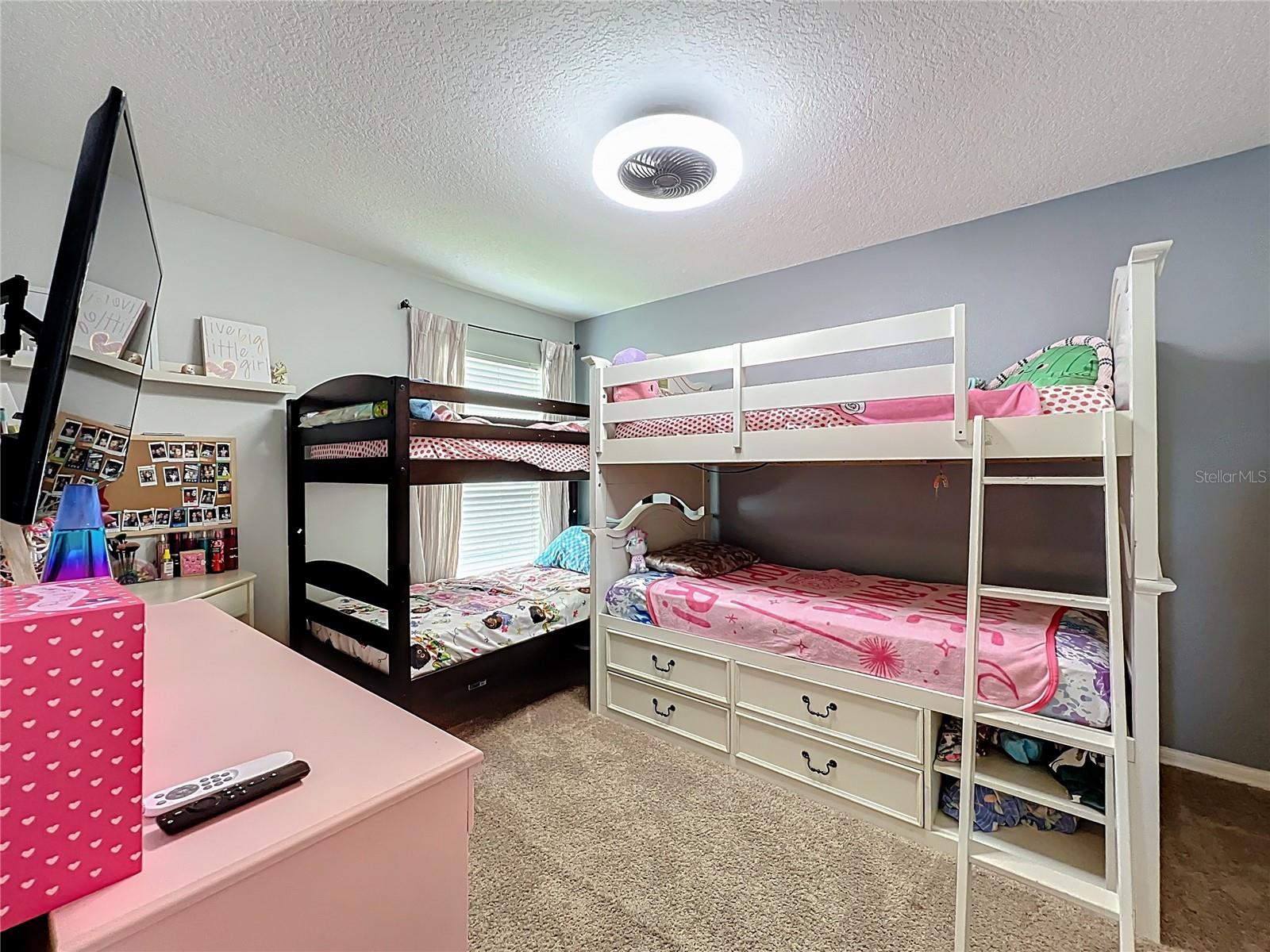 CEDAR GLEN OF ALOMA WOODS - Residential