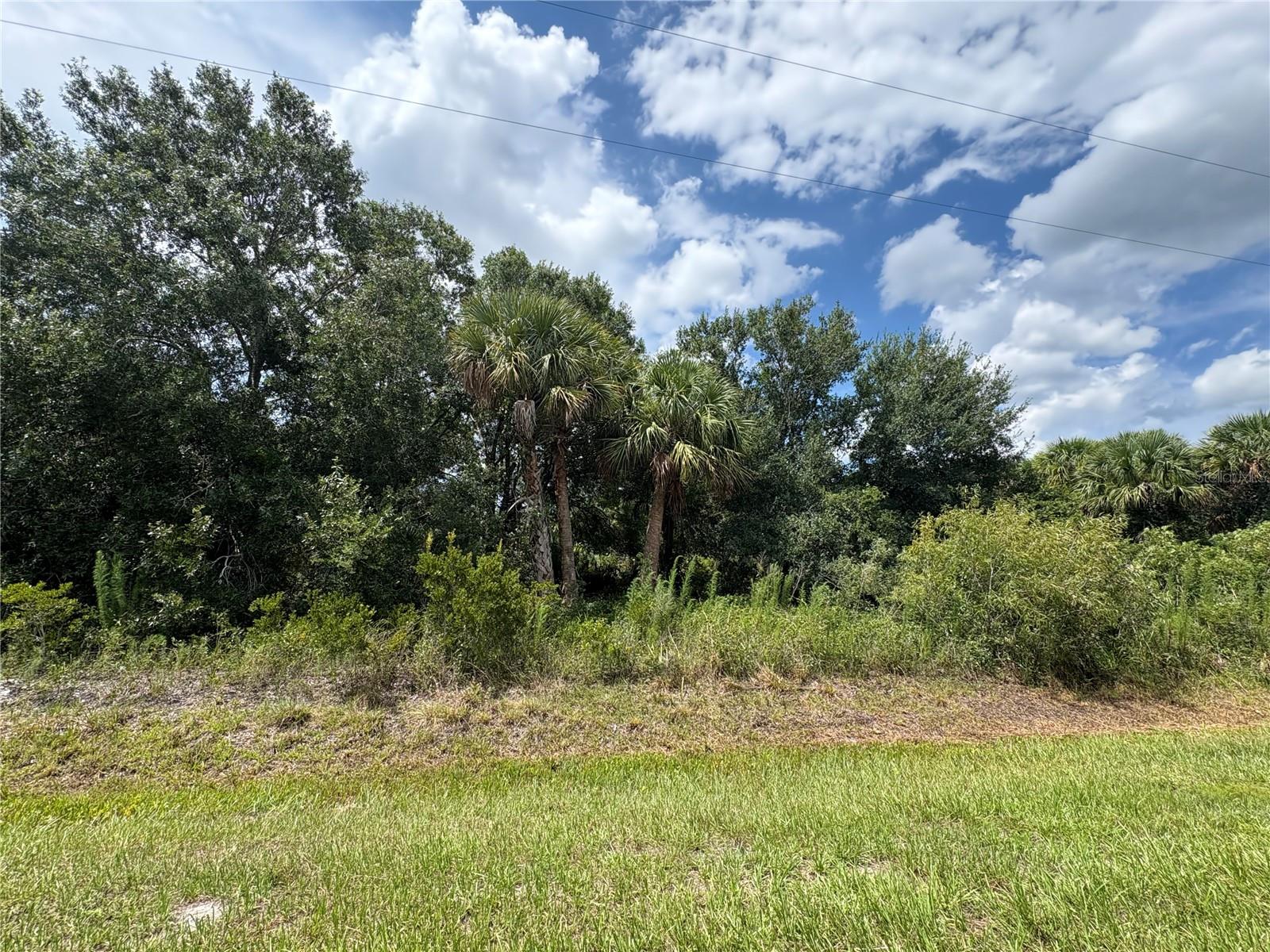 Motivated seller. Don’t miss this rare opportunity to own a peaceful 1.25-acre retreat in the heart of Florida’s natural landscape—perfect for realizing your rural living or investment dreams.