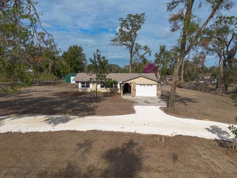 A home in DADE CITY