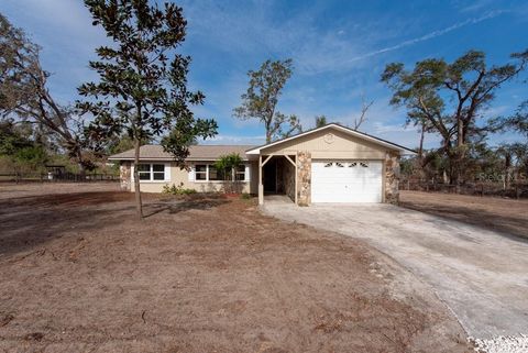 A home in DADE CITY