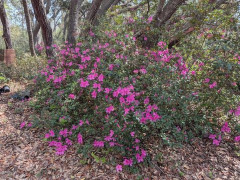 Tiny photo for 2933 E Quail Court, Inverness, FL 34452 (MLS # OM723774)