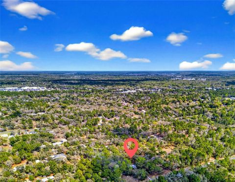 Tiny photo for 2933 E Quail Court, Inverness, FL 34452 (MLS # OM723774)