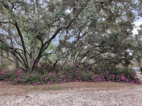 Tiny photo for 2933 E Quail Court, Inverness, FL 34452 (MLS # OM723774)