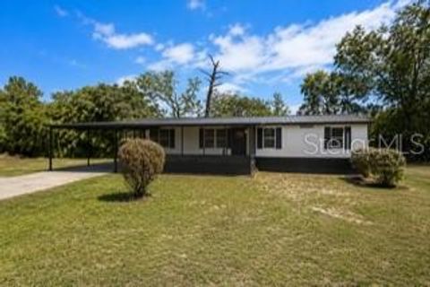 Photo of 2001 S Overview Drive, Lecanto, FL 34461 (MLS # W7885615)