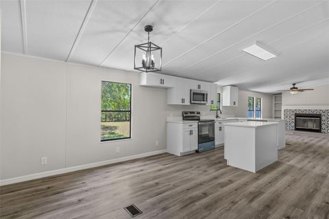 Tiny photo for 2001 S Overview Drive, Lecanto, FL 34461 (MLS # W7885615)