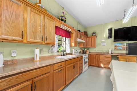 Tiny photo for 14600 NW 216th Place, Micanopy, FL 32667 (MLS # GC536027)