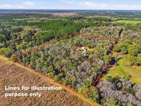 Tiny photo for 14600 NW 216th Place, Micanopy, FL 32667 (MLS # GC536027)