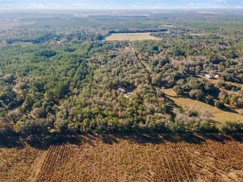 Tiny photo for 14600 NW 216th Place, Micanopy, FL 32667 (MLS # GC536027)